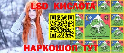 spice Изобильный