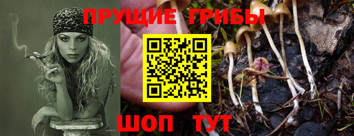 Cocaine Ульяновск