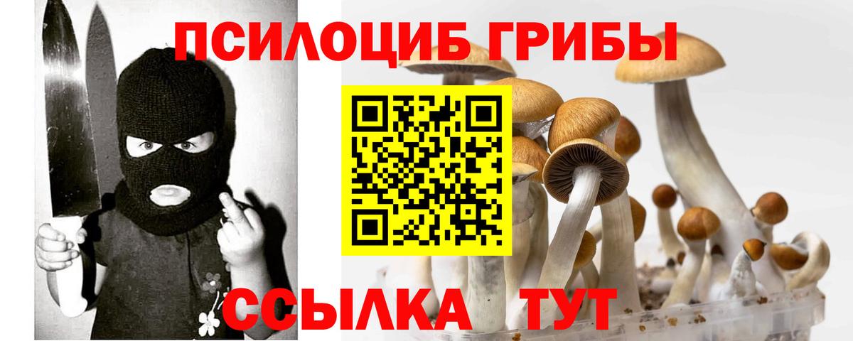 Псилоцибиновые грибы MAGIC MUSHROOMS Ульяновск