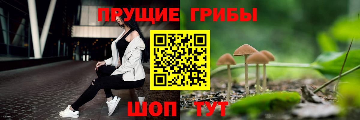 Ульяновск  Псилоцибиновые грибы ЛСД  Вход с VPN 